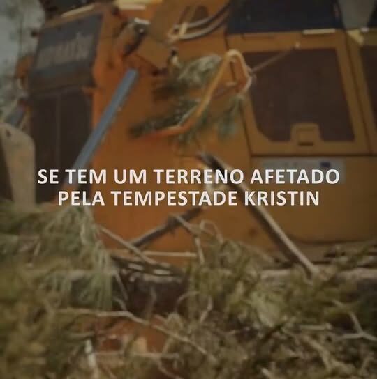 Os proprietários de terrenos florestais afetados pela tempestade Kristin têm até