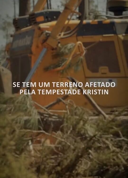 Os proprietários de terrenos florestais afetados pela tempestade Kristin têm até