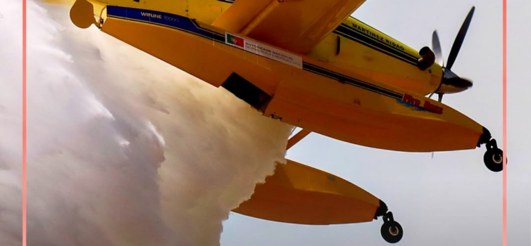 Um incêndio deflagrou na manhã deste sábado, 27 de junho, numa zona agrícola