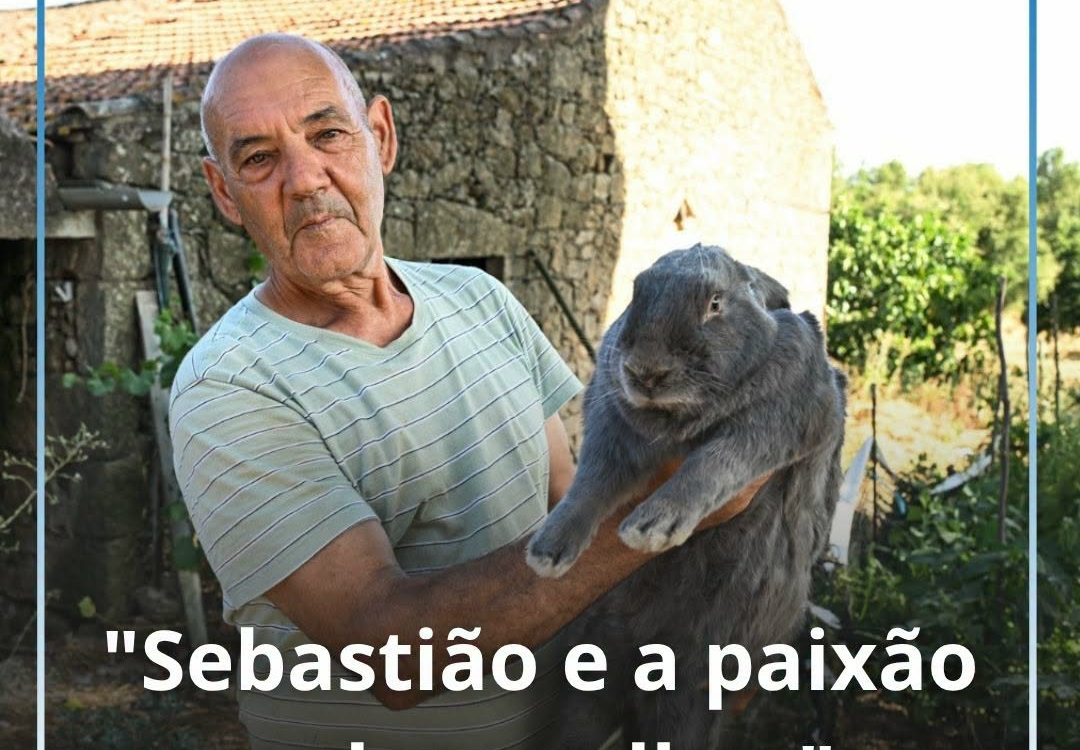 Esta Terra