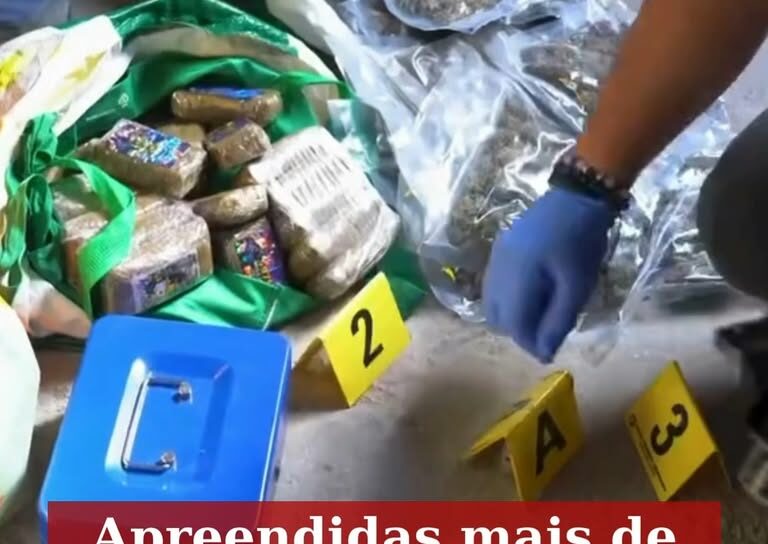 A GNR deteve duas mulheres e um homem, com idades entre os 18 e os 50 anos