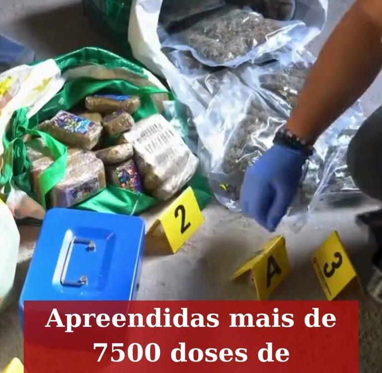 A GNR deteve duas mulheres e um homem, com idades entre os 18 e os 50 anos