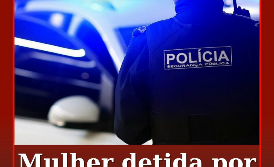 A Polícia de Segurança Pública (PSP) deteve, no sábado