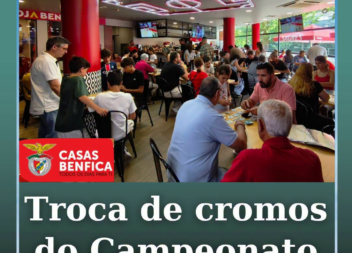 As Casas Benfica de Castelo Branco, Covilhã