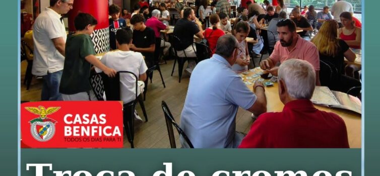 As Casas Benfica de Castelo Branco, Covilhã