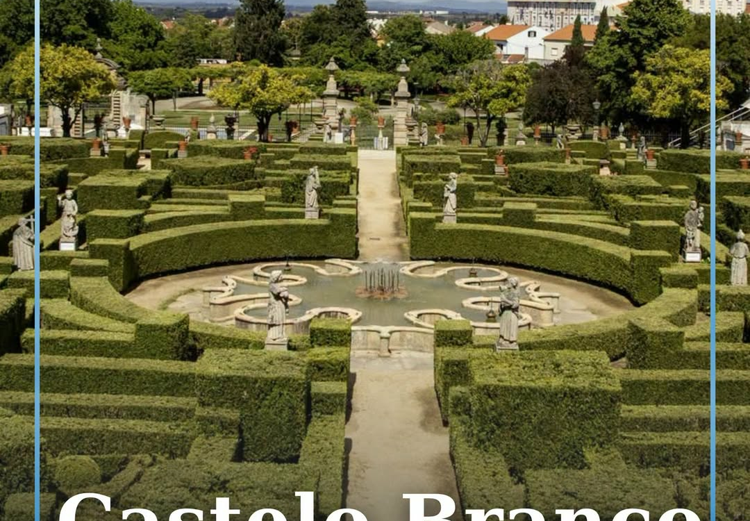 Castelo Branco é finalista