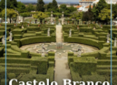 Castelo Branco é finalista