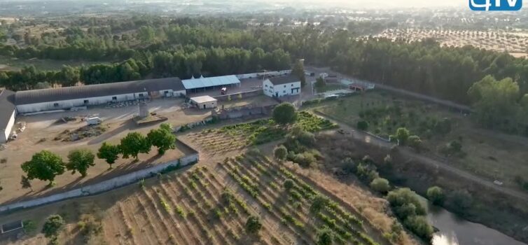 Herdade Do Redondo