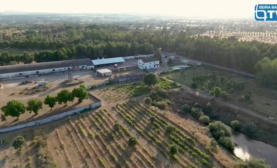 Herdade Do Redondo