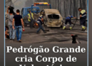 O Município de Pedrógão Grande criou um Corpo de Voluntários de Proteção Civil,