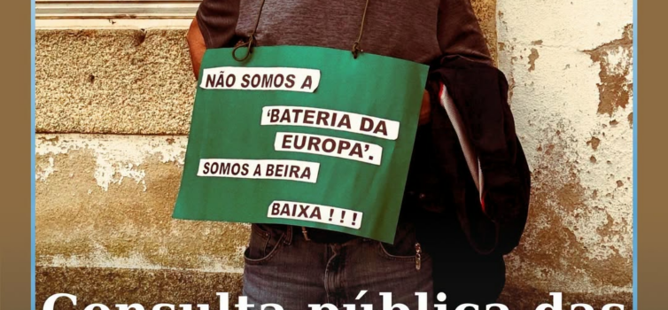 O Programa Setorial das Zonas de Aceleração da Implantação de Energias Renovávei