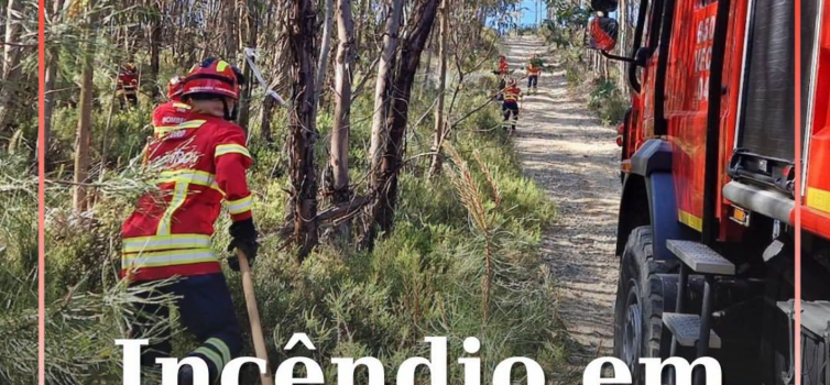 O alerta para o incêndio numa zona de mato em Gaviões de Oledo