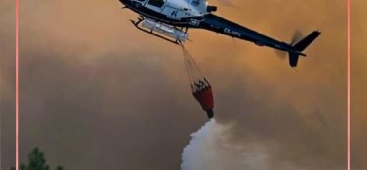O alerta para um incêndio em zona de mato em Castelo Novo, concelho do Fundão