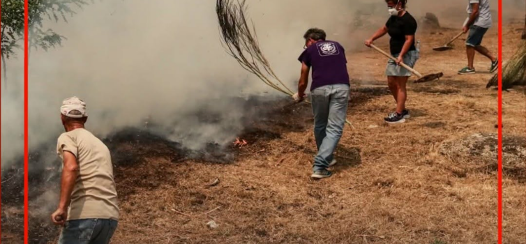 O incêndio que lavra no concelho da Guarda voltou a ganhar intensidade durante a