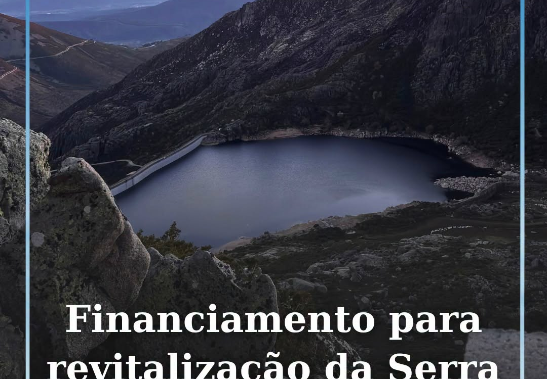 O ministro da Economia afirmou hoje que o financiamento para o plano de revitali