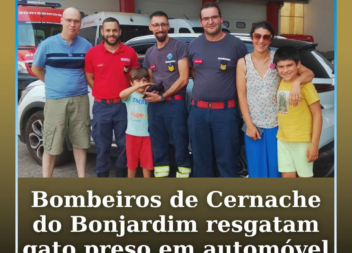 Os Bombeiros de Cernache do Bonjardim resgataram um gato bebé que se encontrava