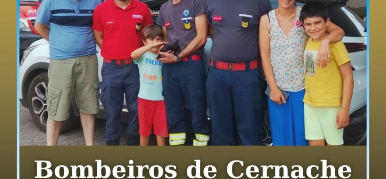 Os Bombeiros de Cernache do Bonjardim resgataram um gato bebé que se encontrava
