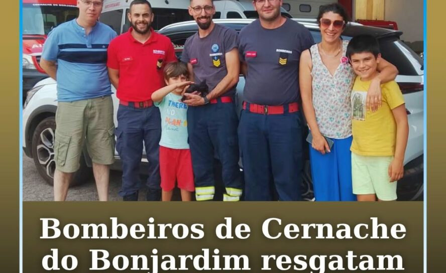Os Bombeiros de Cernache do Bonjardim resgataram um gato bebé que se encontrava