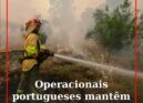 Os operacionais da Força Operacional Conjunta (FOCON) da Autoridade Nacional de