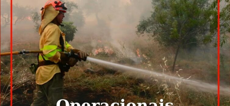 Os operacionais da Força Operacional Conjunta (FOCON) da Autoridade Nacional de