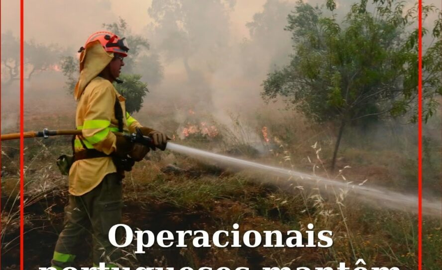 Os operacionais da Força Operacional Conjunta (FOCON) da Autoridade Nacional de