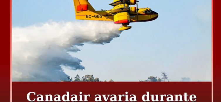 Um avião Canadair que apoiava o combate no incêndio de Proença-a-Nova sofreu uma