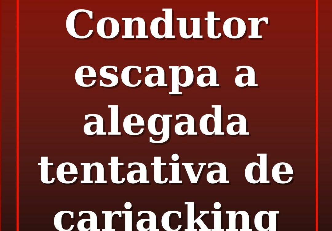 Um condutor relatou à Beira Baixa TV os momentos de tensão que viveu na noite de