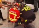 Uma cria de veado foi resgatada durante o incêndio que lavrou na zona de Alto Le