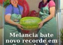 Uma melancia gigante chegou até ao Meu Super de Cernache do Bonjardim e voltou a
