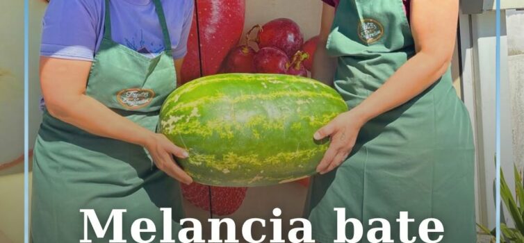 Uma melancia gigante chegou até ao Meu Super de Cernache do Bonjardim e voltou a