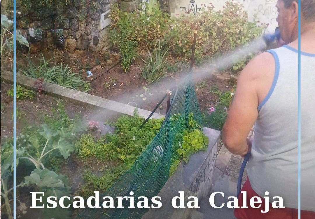 Escadas da Caleja com exemplo de cidadania