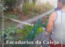 Escadas da Caleja com exemplo de cidadania