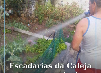 Escadas da Caleja com exemplo de cidadania