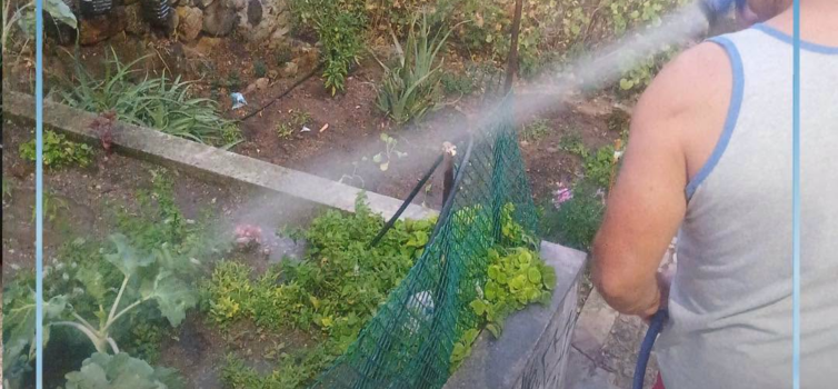 Escadas da Caleja com exemplo de cidadania