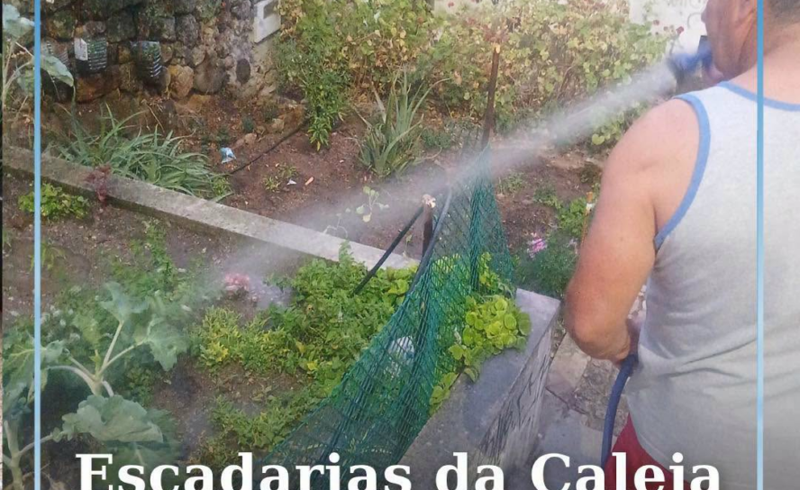Escadas da Caleja com exemplo de cidadania