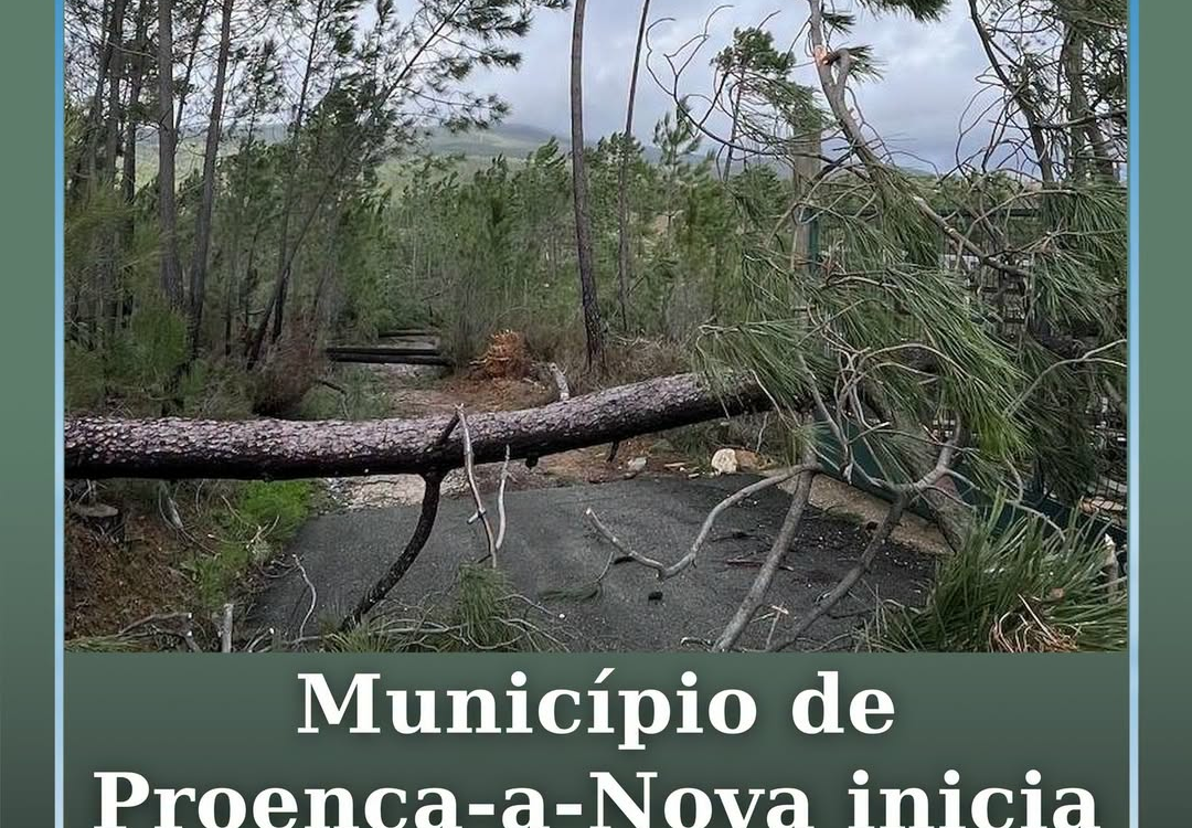 A Câmara Municipal de Proença-a-Nova inicia, esta segunda-feira, 3 de agosto