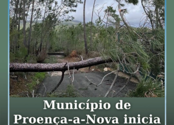 A Câmara Municipal de Proença-a-Nova inicia, esta segunda-feira, 3 de agosto