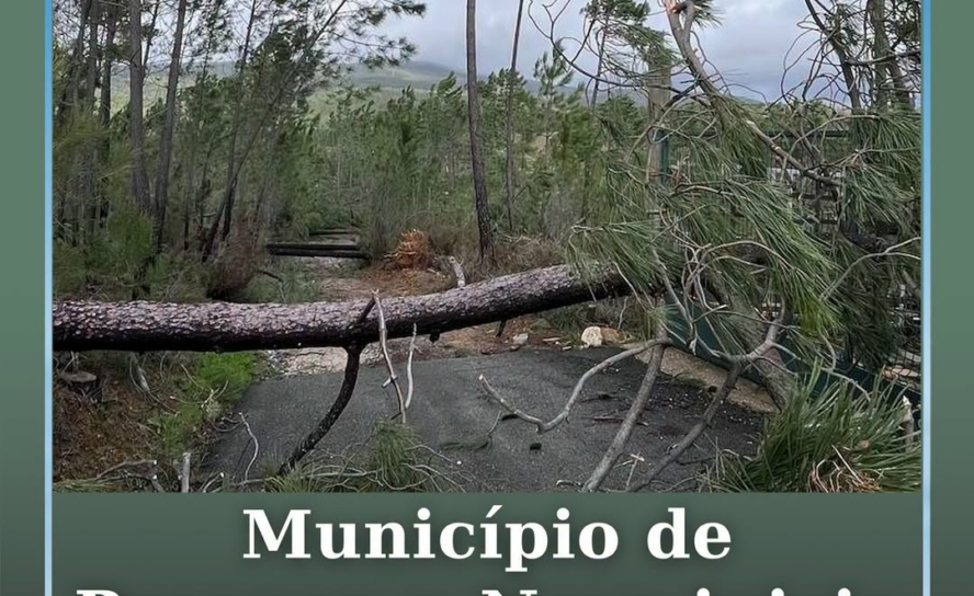 A Câmara Municipal de Proença-a-Nova inicia, esta segunda-feira, 3 de agosto