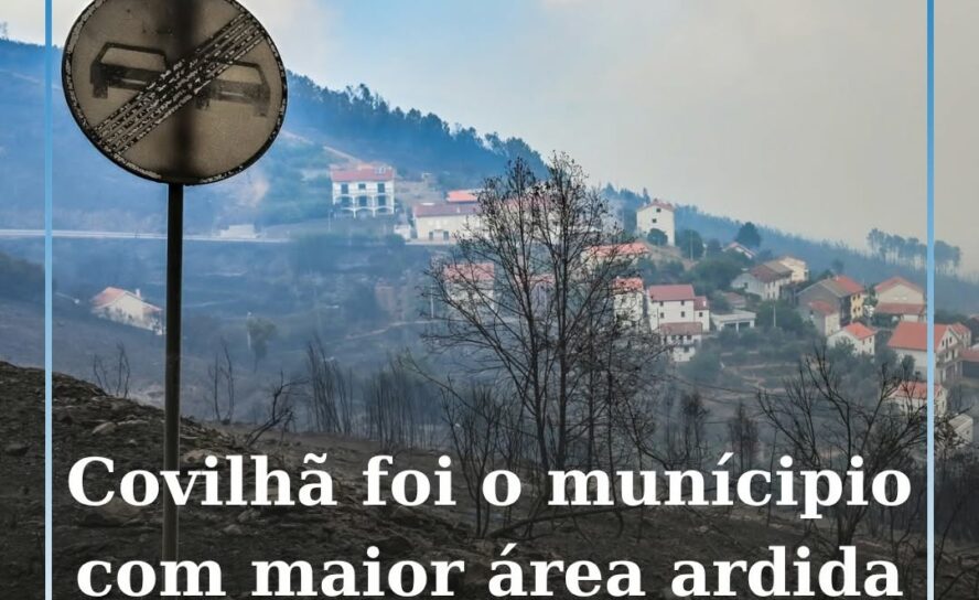 A Covilhã foi o município com maior área ardida entre 2020 e 2025 e