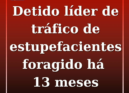 A Guarda Nacional Republicana (GNR)