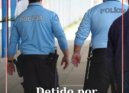 A Polícia de Segurança Pública (PSP) deteve um homem de 31 anos por suspeitas do