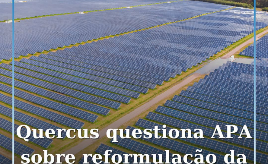 A Quercus Castelo Branco questionou a Agência Portuguesa do Ambiente (APA) sobre