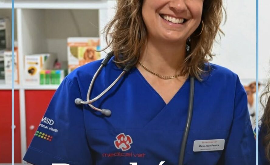 A médica veterinária Dra. Maria João, da clínica Medicalvet, no Fundão