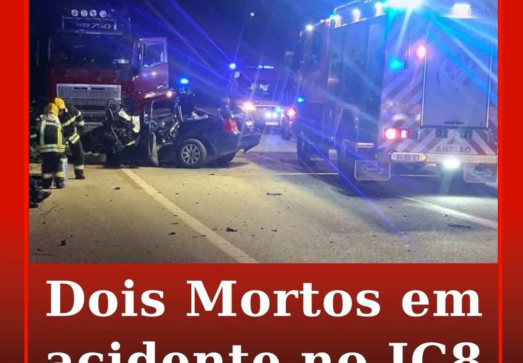 DOIS MORTOS EM ACIDENTE NO IC8