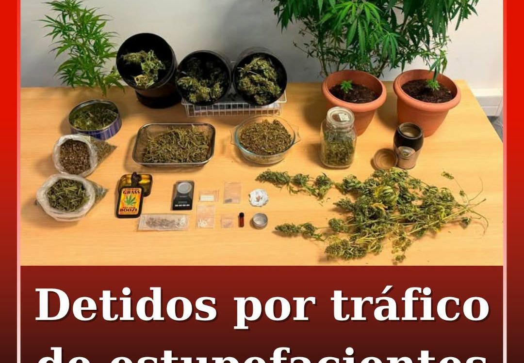Dois homens, de 36 e 43 anos, foram detidos em flagrante pela GNR