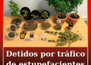 Dois homens, de 36 e 43 anos, foram detidos em flagrante pela GNR