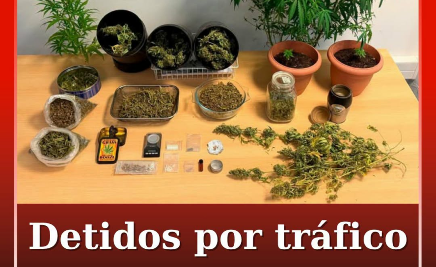 Dois homens, de 36 e 43 anos, foram detidos em flagrante pela GNR