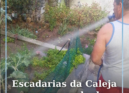 Escadas da Caleja com exemplo de cidadania