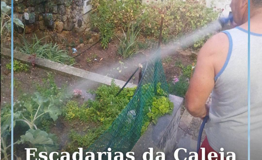 Escadas da Caleja com exemplo de cidadania