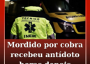 Homem mordido por cobra em Abrantes recebeu antídoto no hospital